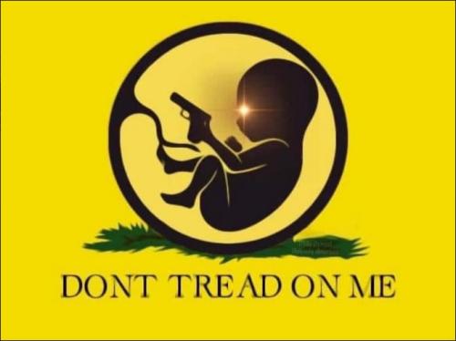 ending roe vs wade15