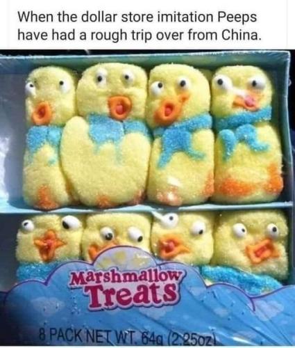FB_IMG_1658430118578