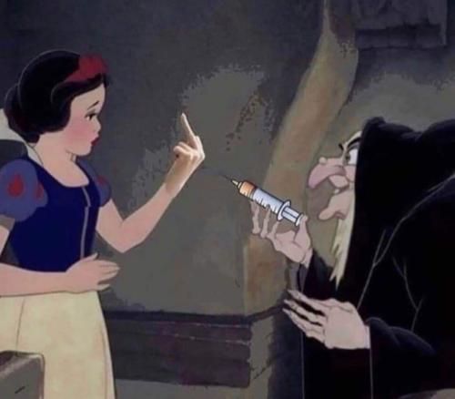 FB_IMG_1657650507332