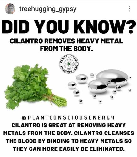 Screenshot_2022-06-30-06-29-52-654_com.instagram.android~2