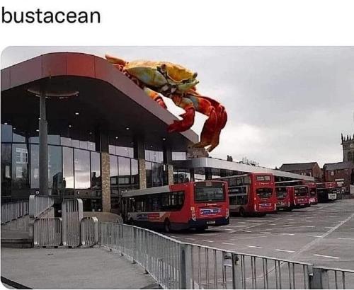 292054253_10160184791505288_1921982920136456030_n