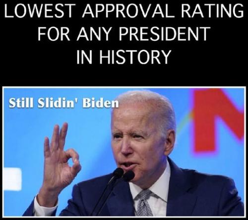 shitshow joe46