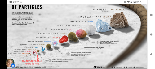 Screenshot_20220628-134139~3