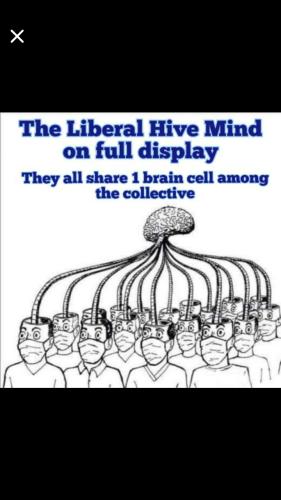 Screenshot_20220729-223940_Wimkin Free Speech Social Media