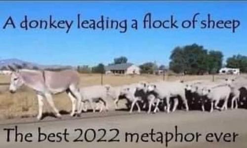20220702_220701