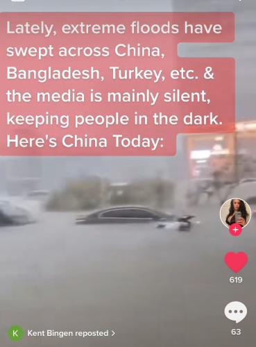 Screenshot_2022-06-30-09-59-27-195_com.zhiliaoapp.musically~2