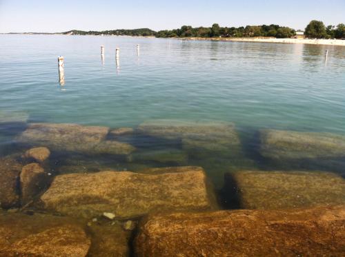 sngine_180650302ff7afc358c72d1c2bf91bde