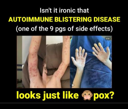 Screenshot_2022-07-29-11-04-42-407_com.google.android.apps.photos~2