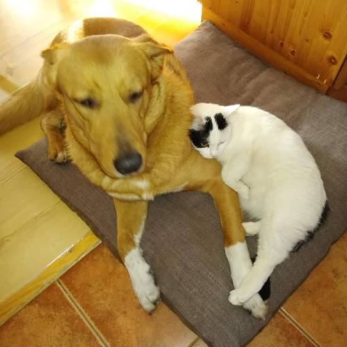 IMG_20210904_005639_106