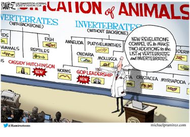 mrz070122dAPR20220701104506-375x275