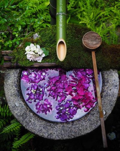 291607816_3262310950706784_8259020578789142601_n