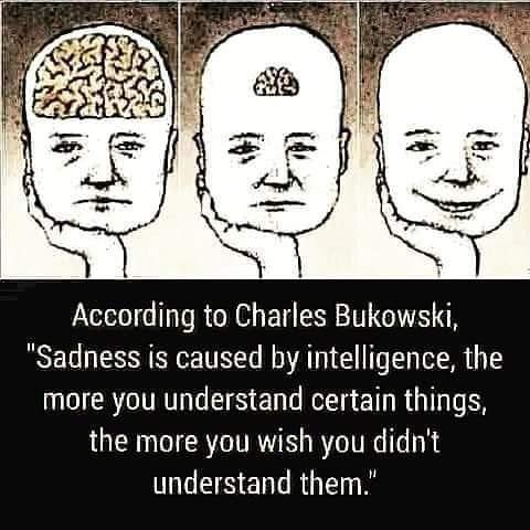 FB_IMG_1658433368376