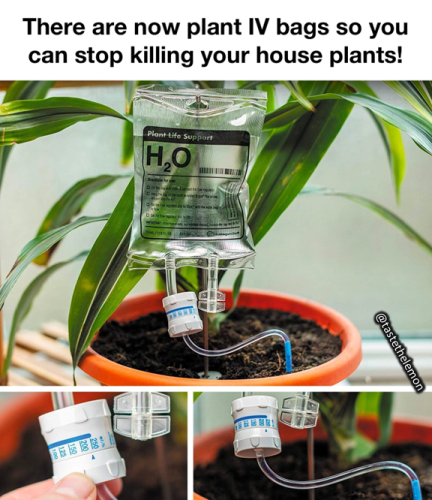 294942261_1507958159658548_4021664948427832749_n