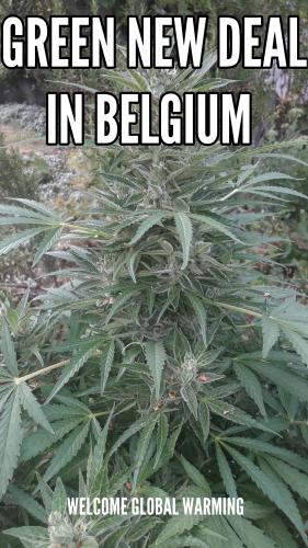 aviary-image-1654887652251