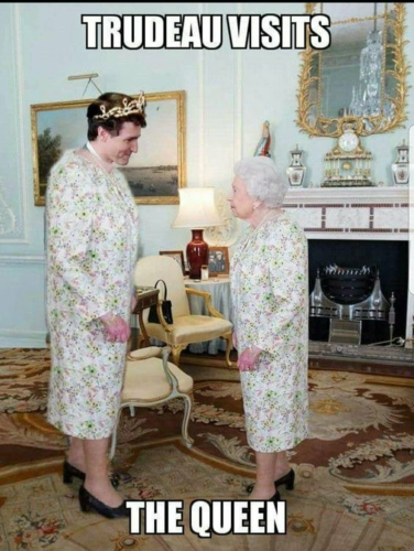 294715405_2180720865431313_6088411783597030626_n