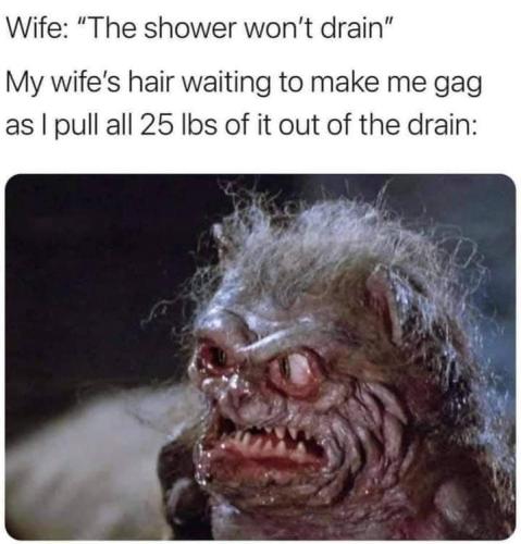 FB_IMG_1657313988970