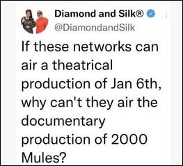 2000 mules23