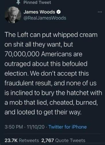 voterfraud329