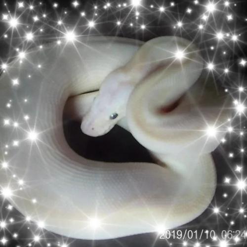 FB_IMG_1631758578205