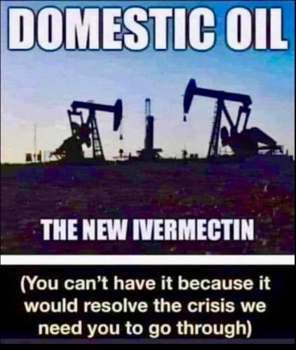 63972229-D732-4A73-8B6E-E37A9441A88F