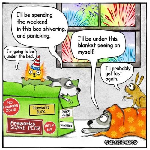 291521357_1955658047953844_7802534879033407615_n