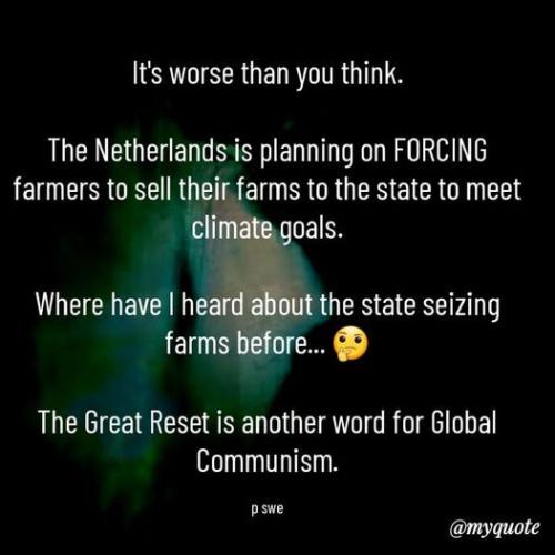 292801536_4634016810035387_4374737139309990493_n