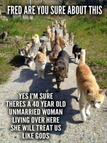 FB_IMG_1658926669079