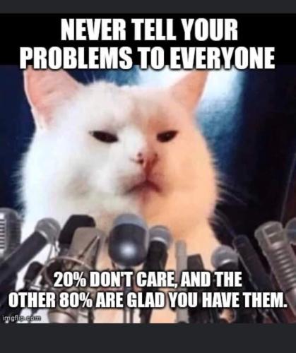 FB_IMG_1658447504660