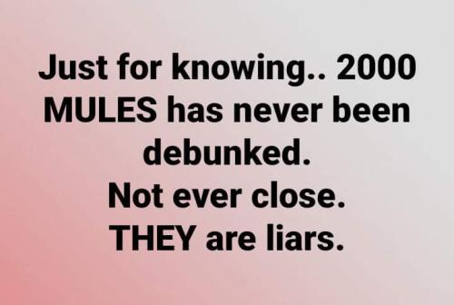 FB_IMG_1658631715775