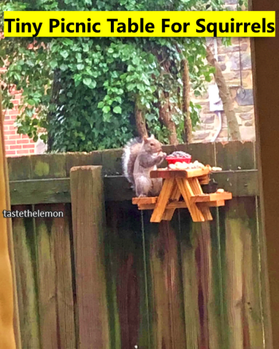 294548735_1507955882992109_328957680916810916_n