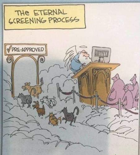 FB_IMG_1658512424819