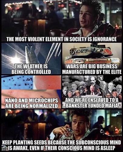 0CB86130-B13A-438B-B431-7DEC8484D994-68795-000006273EB7F783