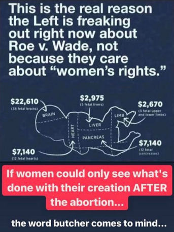 ending roe vs wade13