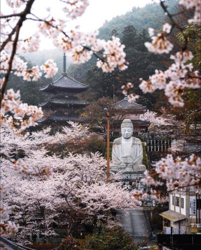 294693506_147546511216415_3198803594449926652_n