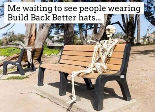 292555929_197521659281401_5074572715810631722_n