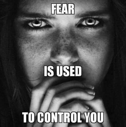 FB_IMG_1658420868045