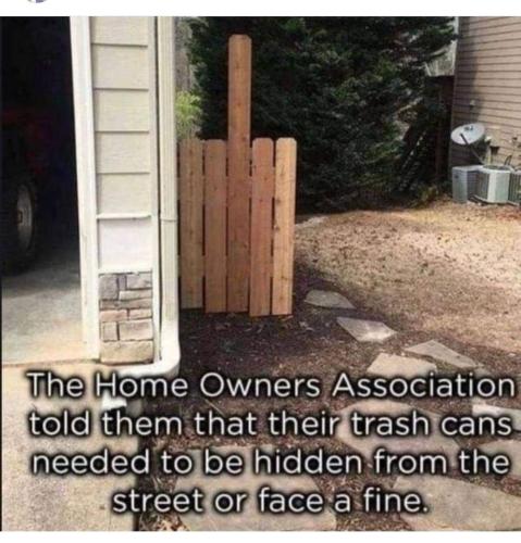 FB_IMG_1658949527222