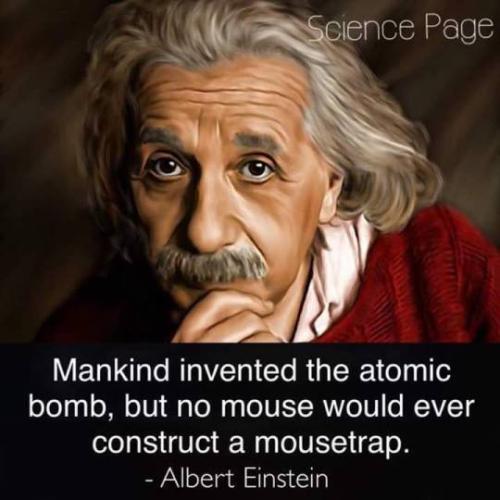 tumblr_8023af9edbeb2fcc5c74be5e51aad517_dde99d44_540