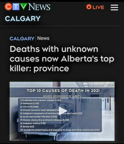 Screenshot_2022-07-07-06-41-38-133_com.google.android.apps.photos~2