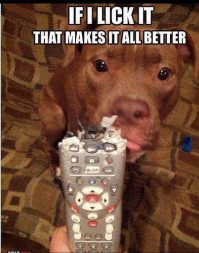 FB_IMG_1659128232242