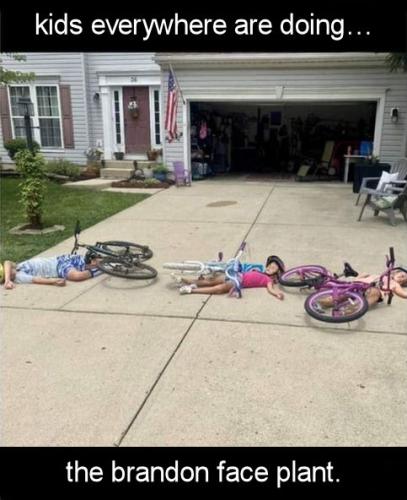 bike12