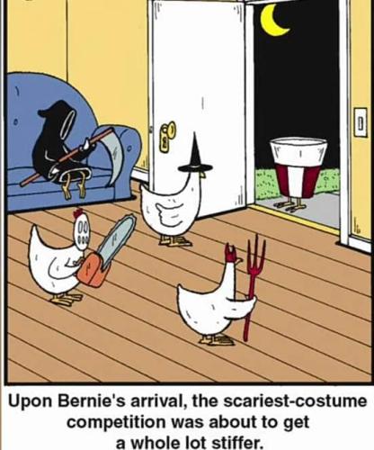 296280342_167624462458467_3015469229587100572_n