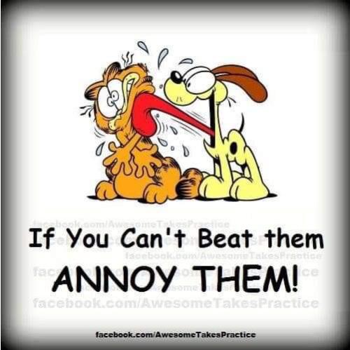 06:23:27 GMT-0400 (EDT)