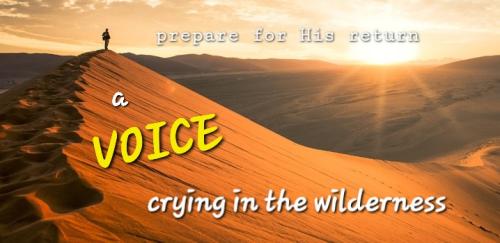 Screenshot_20220719-073944_DuckDuckGo