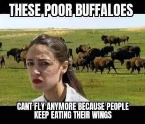 FB_IMG_1658432195463