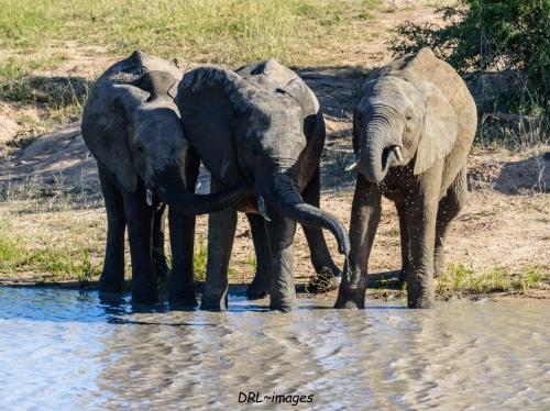 98195363_4386540118038293_8090589328956194816_n