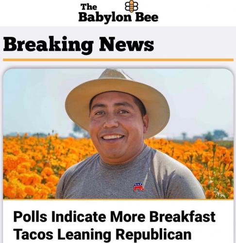 babylon bee1