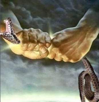 FB_IMG_1657967087474