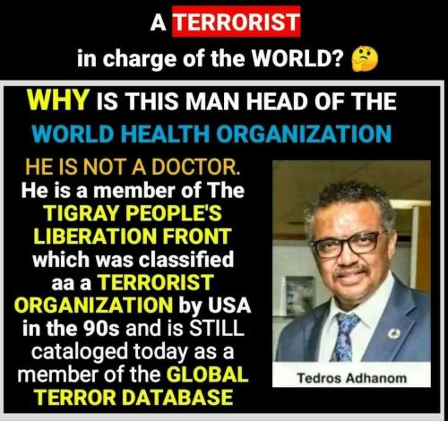 Screenshot_2022-07-27-11-21-44-576_com.google.android.apps.photos~2