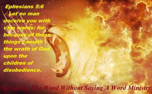 12321168_963363653745766_6921069712433285448_n